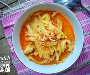 Cara Memasak Cepat Lodeh labu siam dg tempe dan ebi Ala Warteg