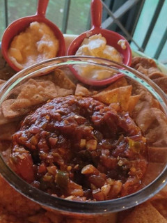 A picture of Salsa.