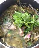 Lẩu ếch lá giang