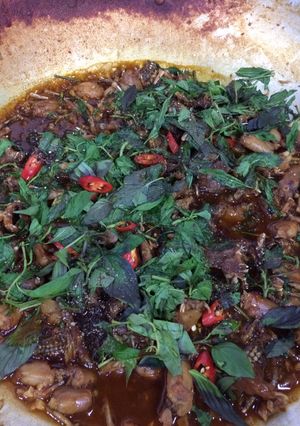 Hình của món Ếch kho rau quế.