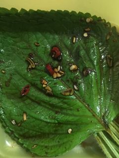 Foto resep Pickled Perilla Leaves (Kkaennip Jangajji)
