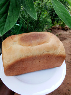 A picture of Milk bread.