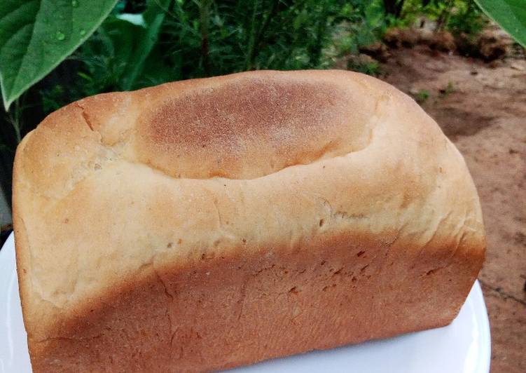 Step-by-Step Guide to Prepare Speedy Milk bread