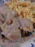 Bagre del Pilcomayo
