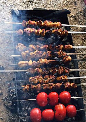 عکسی از دستور جوجه کباب زغالی