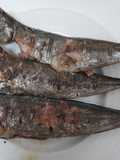Carapau Grelhado