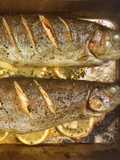 Tray bake Rainbow Trout