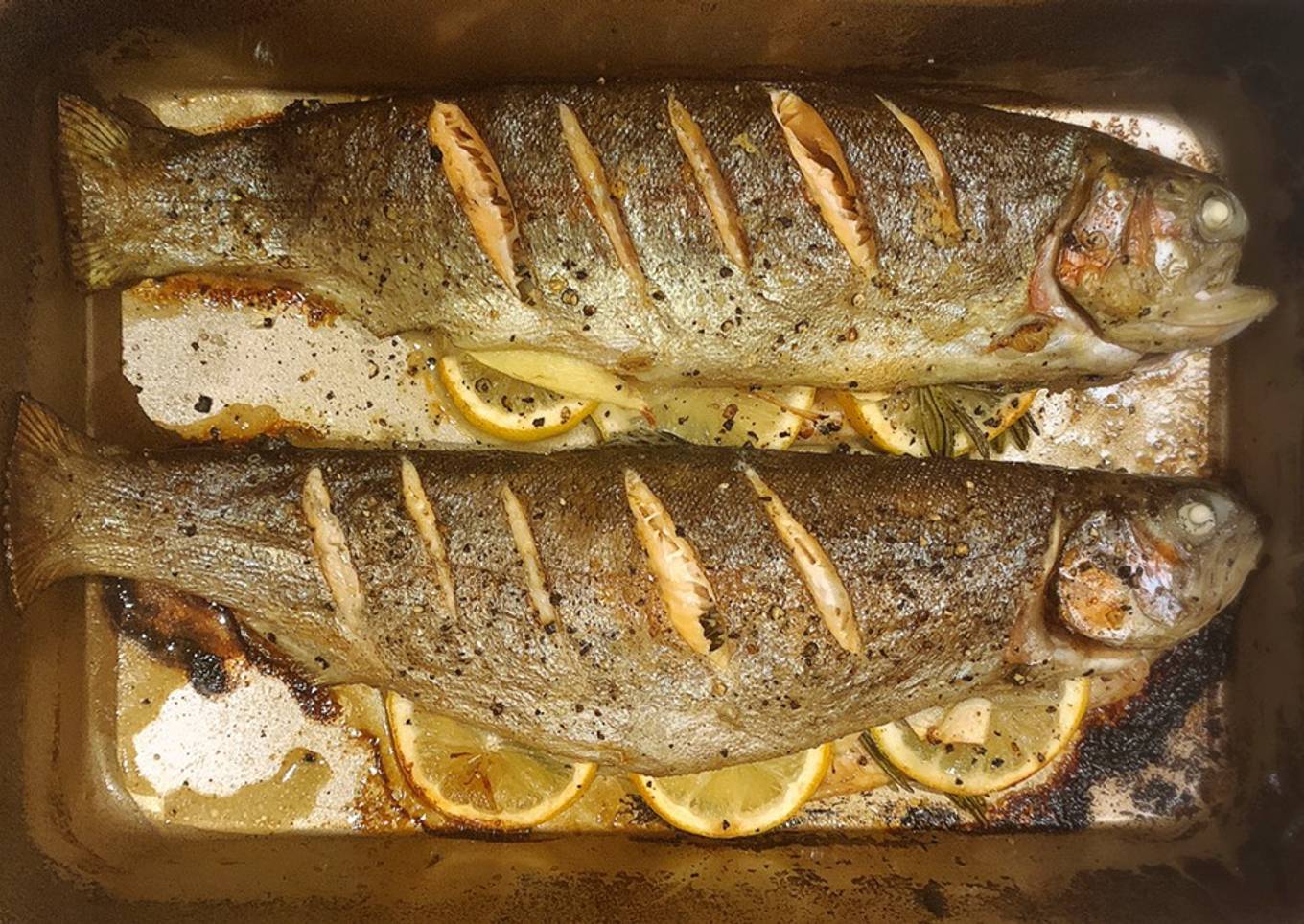 Tray bake Rainbow Trout