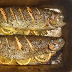 A picture of Tray bake Rainbow Trout.