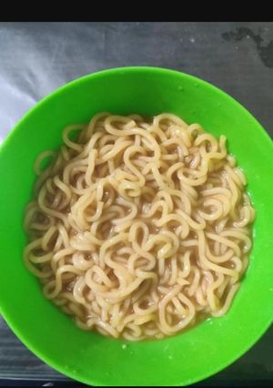 A picture of Noodles.