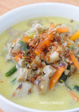 Foto resep Lodeh Simple