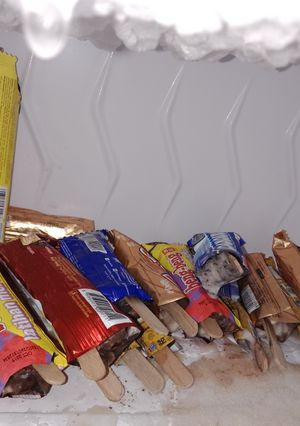 Foto resep Ice Cream Viral