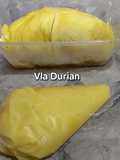 Vla durian (Filling Donat Bomboloni)