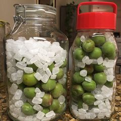 A picture of Japanese plum syrup.
