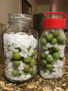 A picture of Japanese plum syrup.