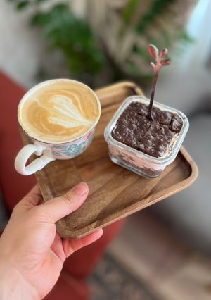 عکسی از دستور تیرامیسو کتویی (مناسب رژیم کتوژنیک یا لوکارب)