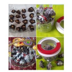 Crunchy Almond Dark Chocolate Rocks A picture of Crunchy Almond Dark Chocolate Rocks.