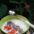 Yogurt Homemade