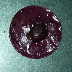 A picture of Jamun chutney.