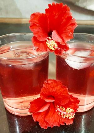 A picture of Hibiscus flower ice tea.