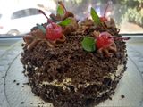 Selva negra