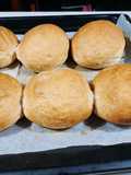 Burger Buns Gandum