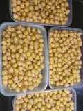 Boiled White Chickpeas
