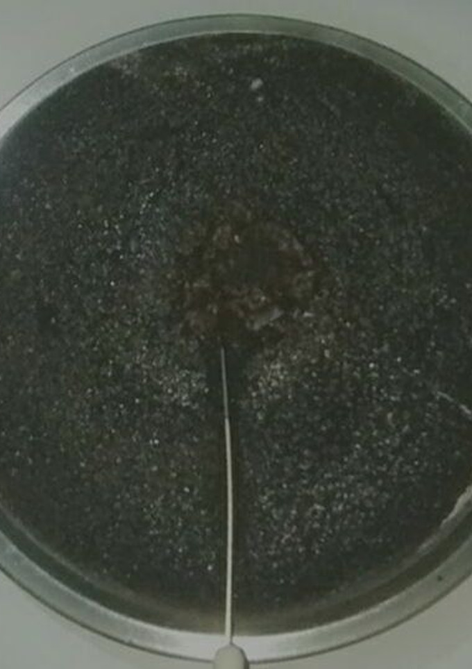 சாக்லேட் கேக்(chcolate cake recipe in tamil) செய்முறை முக்கிய புகைப்படம்