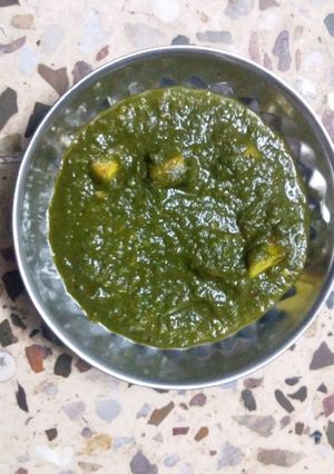 પાલક પનીર (Palak Paneer Recipe In Gujarati) રેસીપી મુખ્ય ફોટો