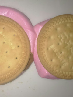 A picture of S'mores.