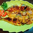 Ikan Kembung Belo Bakar