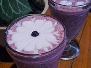 Gambar minuman yoghurt blueberry