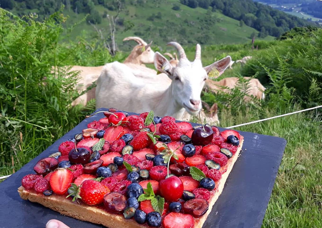 Tarte aux fruits rouge