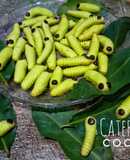 Caterpillar Cookies (NO OVEN) 🐛🐛🐛