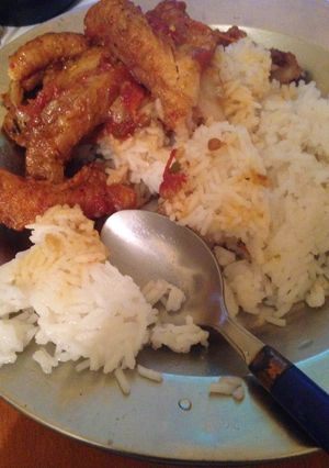 A picture of Wet fried chicken with white rice.