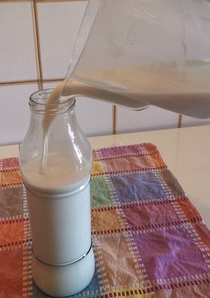 รูปของ นมข้าวโอ๊ต (Oat Milk)​