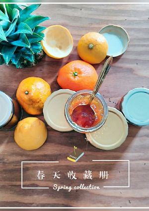 【食譜】自製綜合柑橘果醬，手工天然果醬，酸甜恰到好處～ 的食譜成品照片