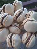 Finti macarons