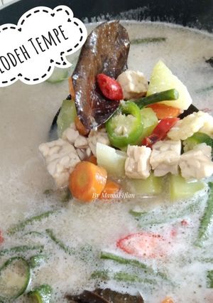 Foto resep Lodeh Tempe