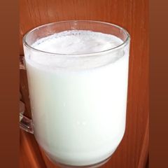 A picture of Lassi.