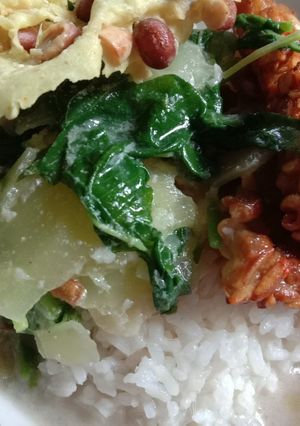 Foto resep Sayur Bobor Bayam Dan Pepaya