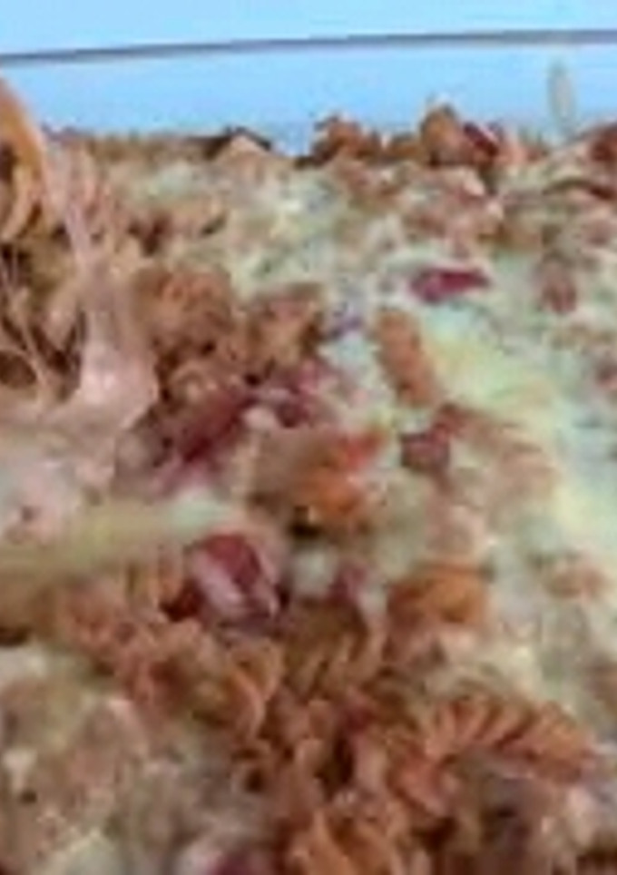 Una foto de Espirales con queso carne y tomate