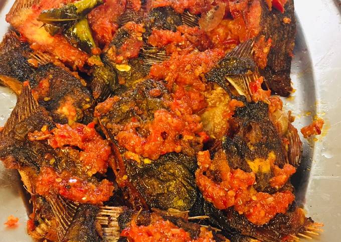 Cara Gampang mengolah FlatFish Balado Anti Gagal