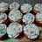 Crema de manteca o buttercream