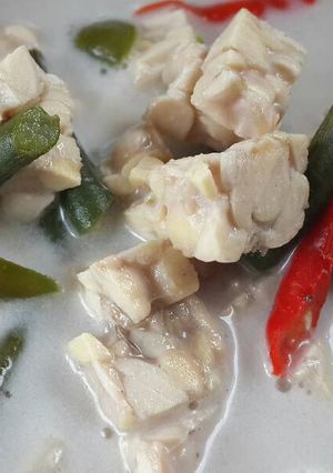 Foto resep Lodeh tempe