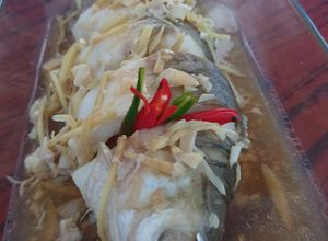 Gambar Steam Halia Ikan Sultan