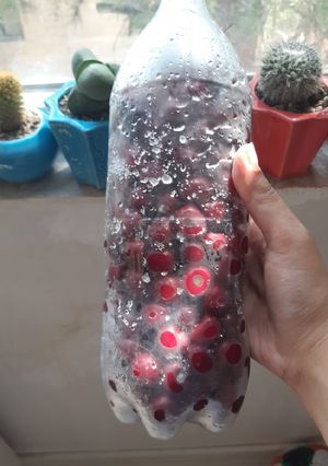 عکسی از دستور آلبالو های یخی 😉😉😉😉