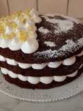 Naked cake