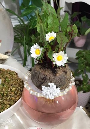عکسی از دستور سبزه لبو قرمز خیلی شیک و فانتزی😍
