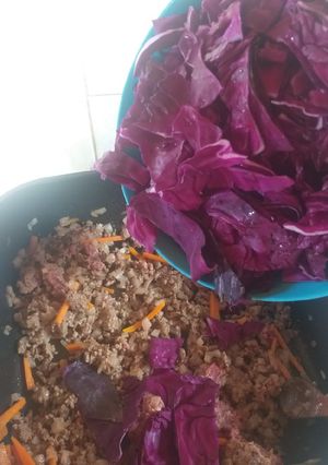 Una foto de Guiso de Col morado con carne vegetariano o vegano
